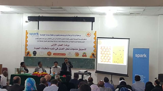Yemen Honey training 2016
